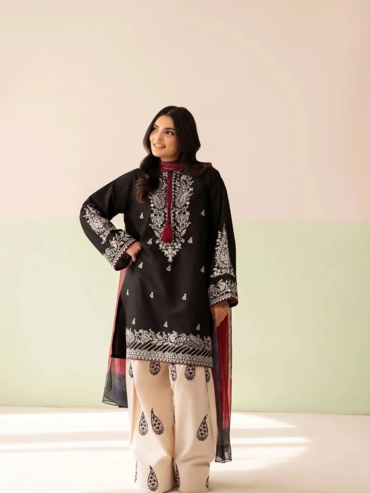 Pezwan Luxury Embroidered image 3